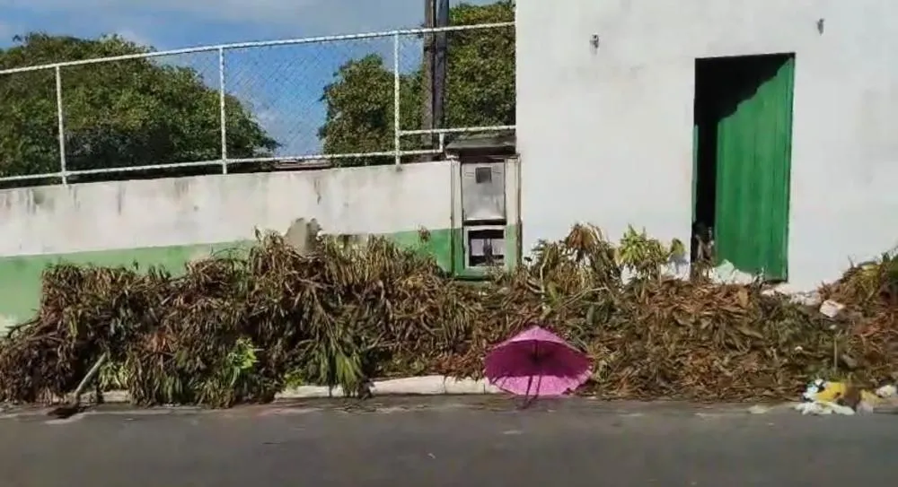 Foto: Reprodu&ccedil;&atilde;o
