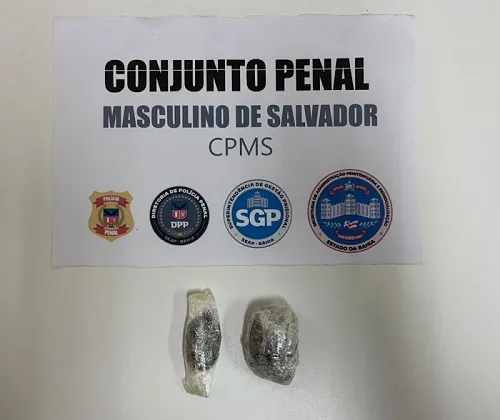 Reprodu&ccedil;&atilde;o / Seap