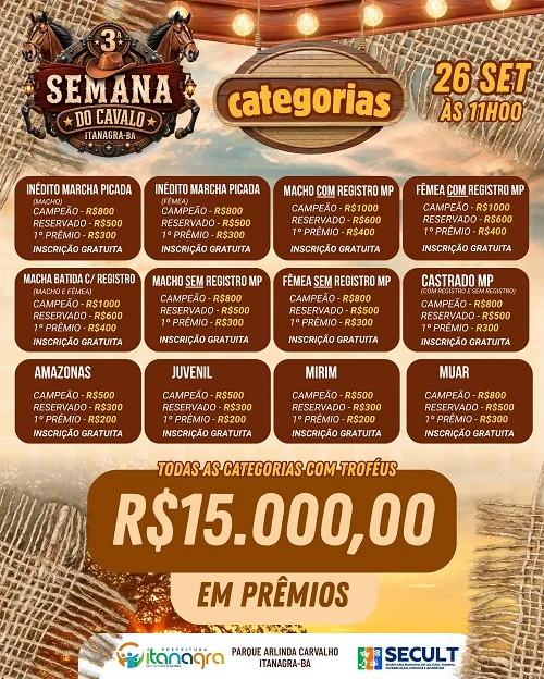 Divulga&ccedil;&atilde;o