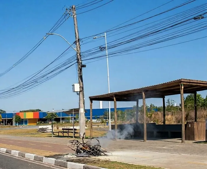 Reprodu&ccedil;&atilde;o / Leitor Via WhatsApp (Melhorada Por IA)