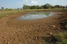  Bahia decreta situação de emergência em 5 cidades