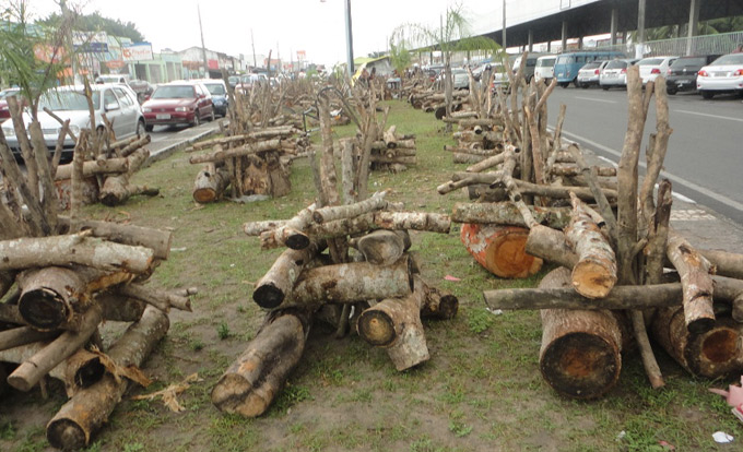 Venda de fogueira está em baixa na capital e RMS