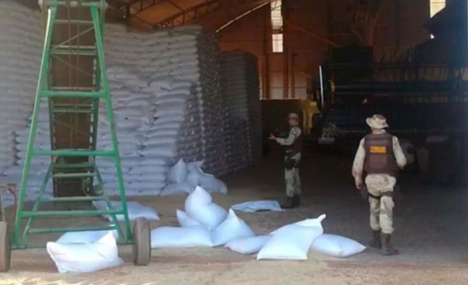Homens invadem fazenda e roubam mil sacas de feijão 