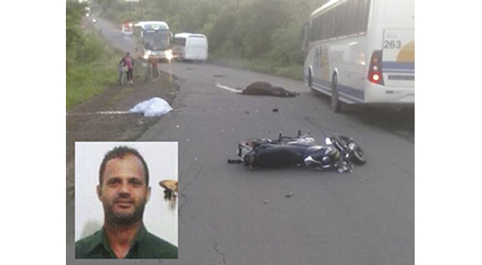 Motociclista morre após colidir com cavalo em Catu