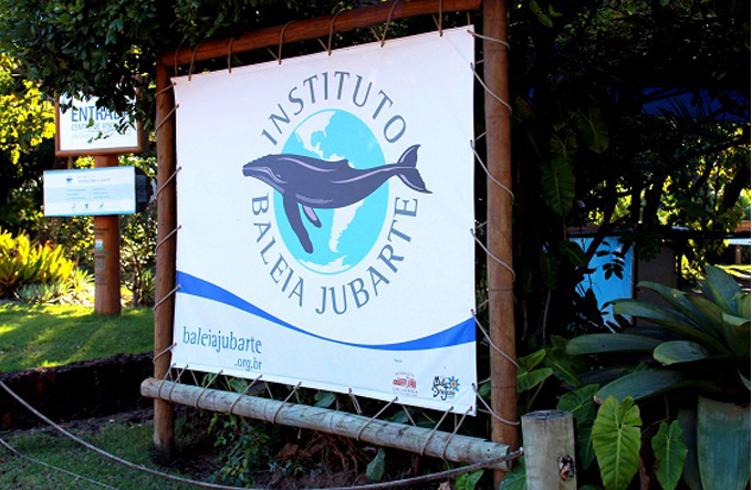 1ª Festa da Baleia Jubarte começa nesta quinta (14)