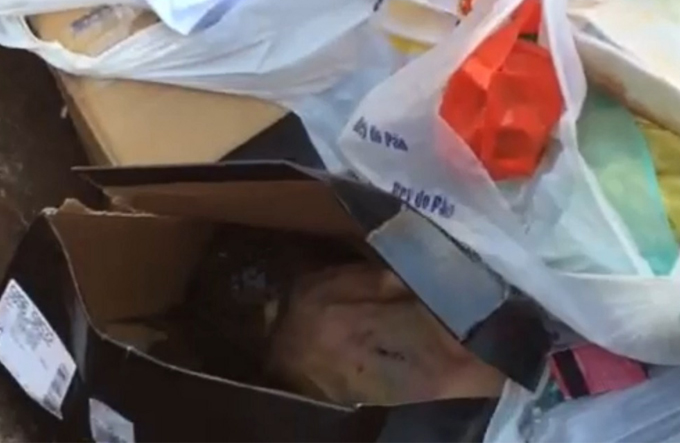 Moradores encontram bebê morto dentro de caixa de sapatos
