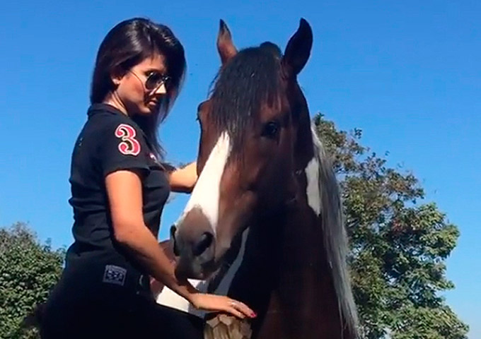 Cavalo morde barriga de Paula Fernandes; veja vídeo 