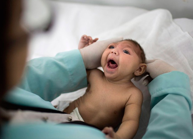 Estudo aponta como ocorre a infecção da placenta pelo zika