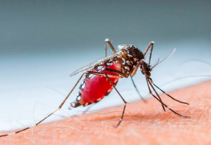 Após suspeita de Zika, exames detectam H1N1 em atleta olímpica 