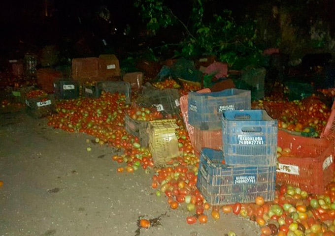Três ficam feridos após caminhão carregado de tomates tombar