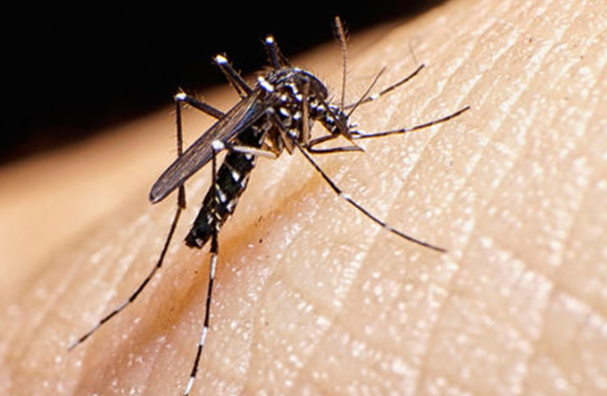 Fiocruz e Sanofi assinam acordo para acelerar pesquisa de vacina contra o Zika