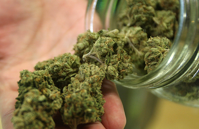 Conselho médico paulista quer descriminalizar maconha