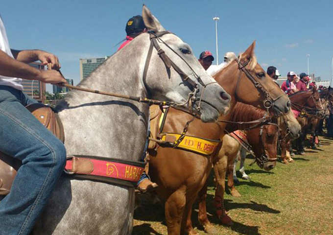 Protesto contra vaquejadas acontece neste domingo (27) 