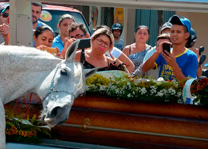 Cavalo causa comoção durante enterro de vaqueiro