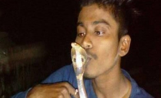 Jovem faz foto beijando cobra, leva picada e morre