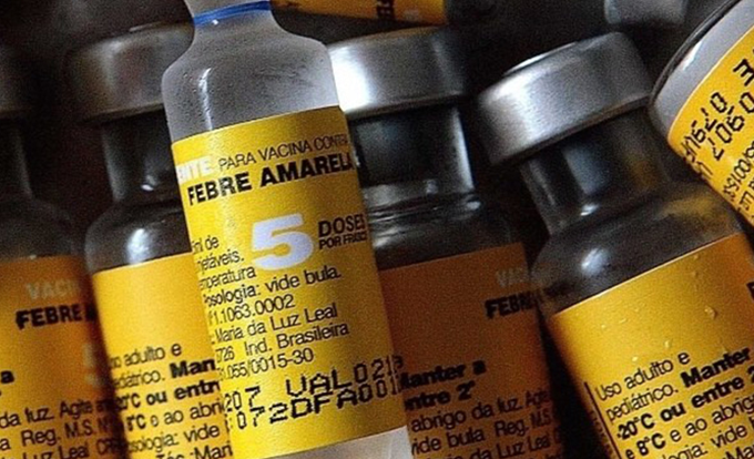 Mais de 150 países exigem vacina contra a febre amarela