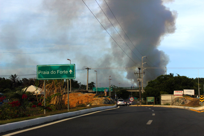 Incêndio atinge grande área florestal em Praia do Forte