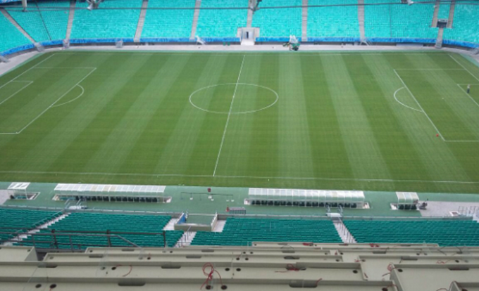 Confira fotos do novo gramado da Fonte Nova