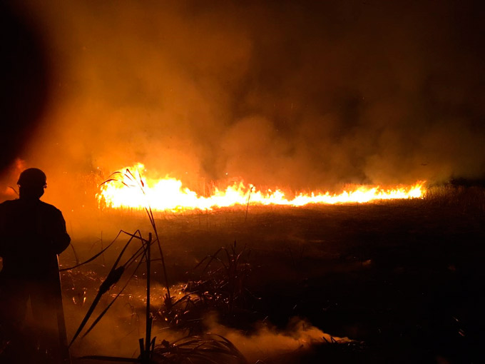 Incêndio continua a atingir área florestal em Praia do Forte