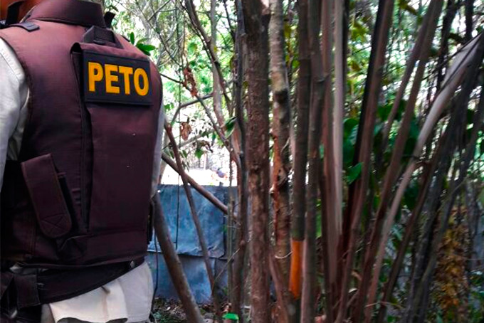 Operações do Peto apreendem armas e prendem acusados