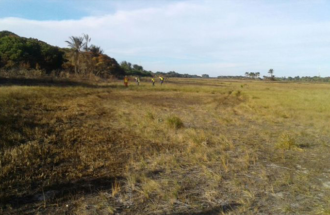 Incêndio que atingiu vegetação de Guarajuba é controlado
