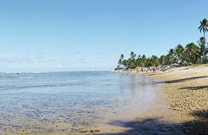 Praia do Forte está entre as 10 melhores para o surf no Brasil