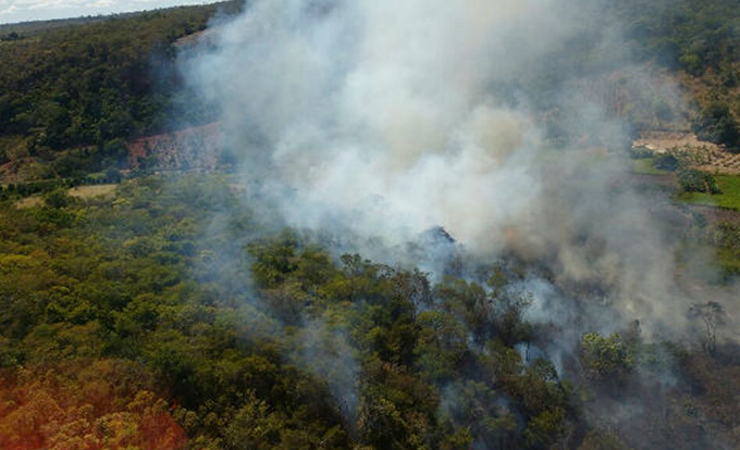Fogo é controlado em PF e continua na Chapada Diamantina