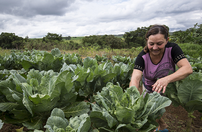 Brasil lança campanha pelo empoderamento das mulheres rurais