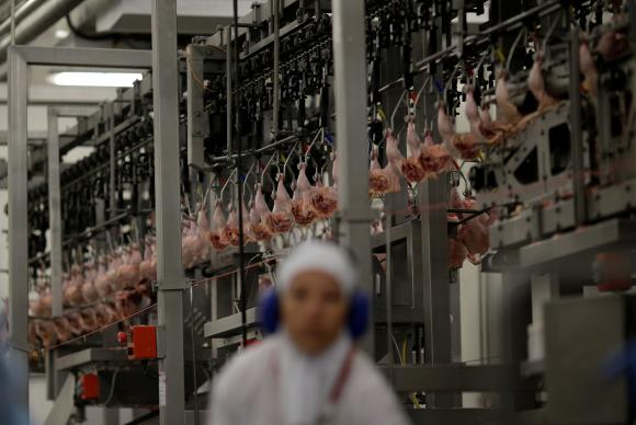 Chile, China e Egito retomam importação de carne brasileira