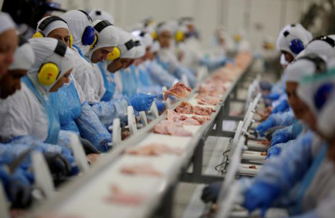 Ministério da Agricultura interdita dois frigoríficos alvos da Carne Fraca