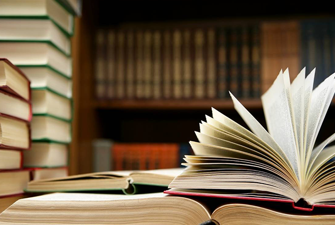 Bibliotecária matense apresenta projeto em São Paulo