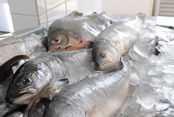 Peixe da Semana Santa será entregue a partir de terça (11)
