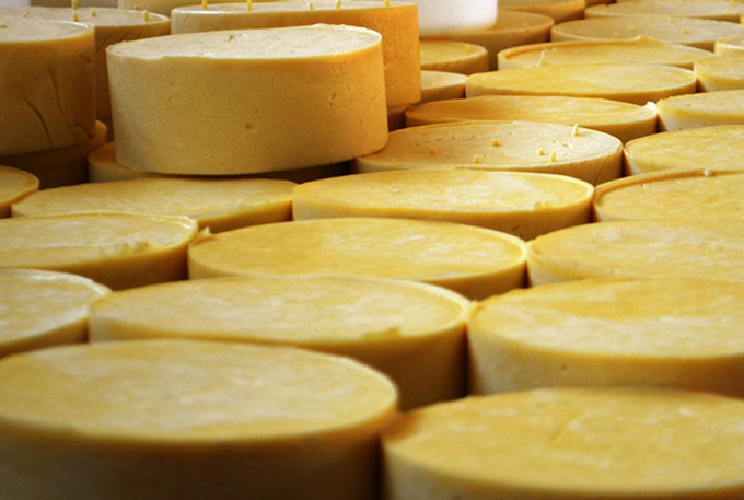 Substância encontrada no queijo pode evitar câncer