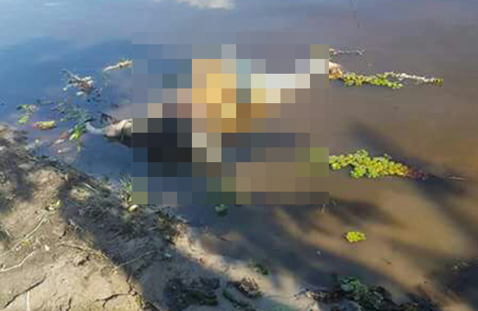 Corpo de mulher desaparecida é encontrado às margens de rio