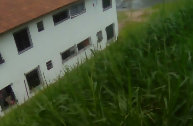 Morador pede roçagem de mato no Condomínio Santa Rita