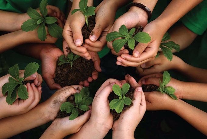 Prefeitura promove ações na semana do Meio Ambiente