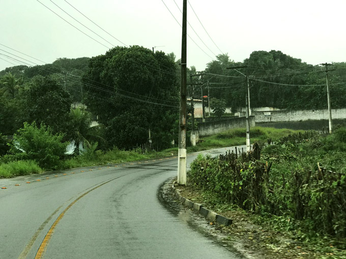 Após acidente, prefeitura poda vegetação na 'curva da morte'
