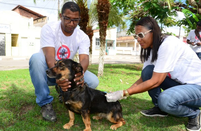 Campanha de vacinação antirrábica começa em setembro