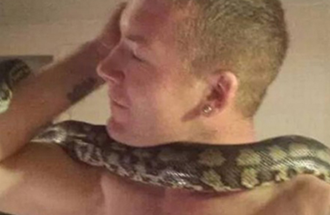 Criador de píton é encontrado estrangulado ao lado de cobra