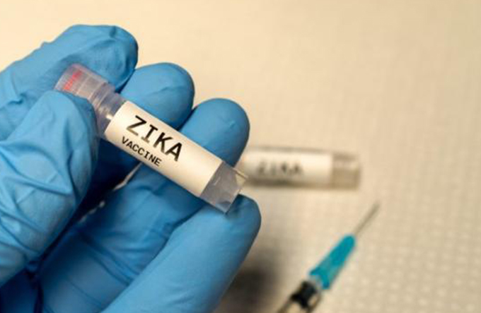 Vacina contra zika começa a ser testada em humanos
