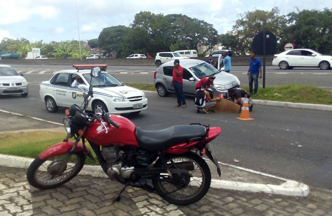 Motorista atinge mototaxista na BR-324