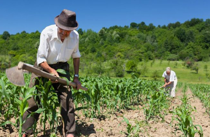 Seagri faz intermediação para tirar agricultores da inadimplência