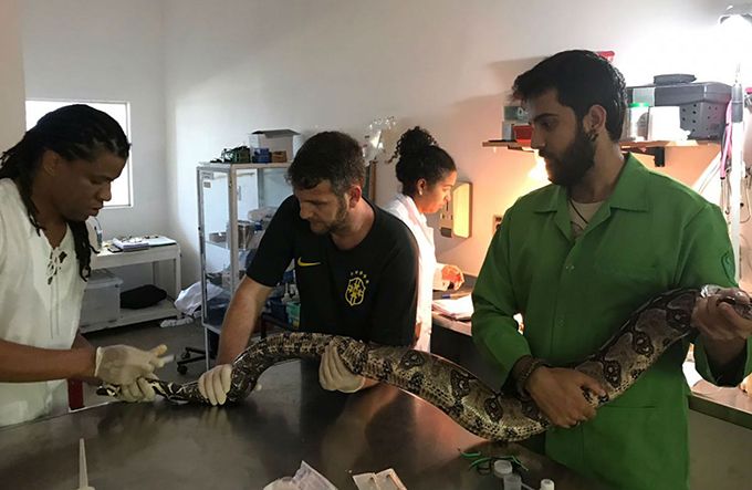 Dona de casa encontra cobra em máquina de lavar