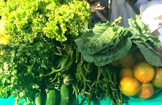 Hoje é dia de Feira Orgânica no Parque da Cidade