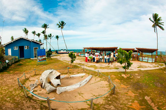 Arembepe: Centro de visitantes do projeto Tamar é reaberto