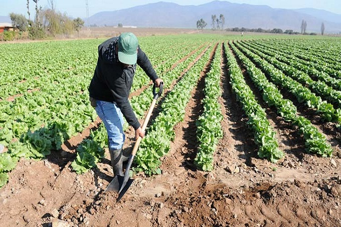 Governo muda regras para empréstimo a agricultores 