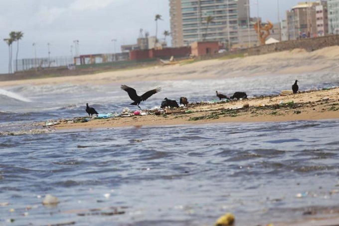 Cinco praias de Salvador concentram maiores níveis de poluição