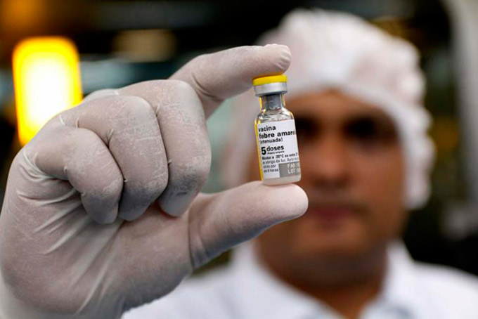 Nova vacina contra a febre amarela está em análise