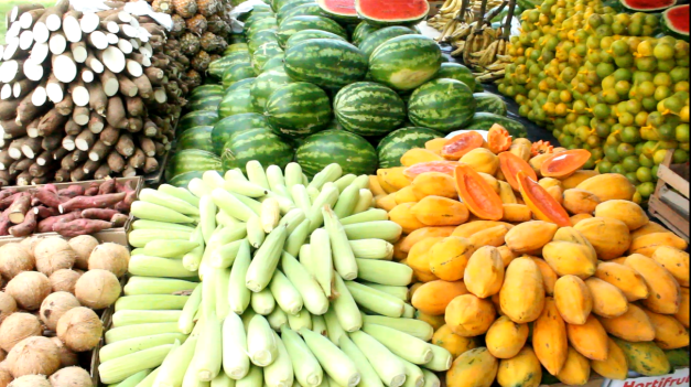 Mata de São João receberá a 1ª Feira da Agricultura Familiar