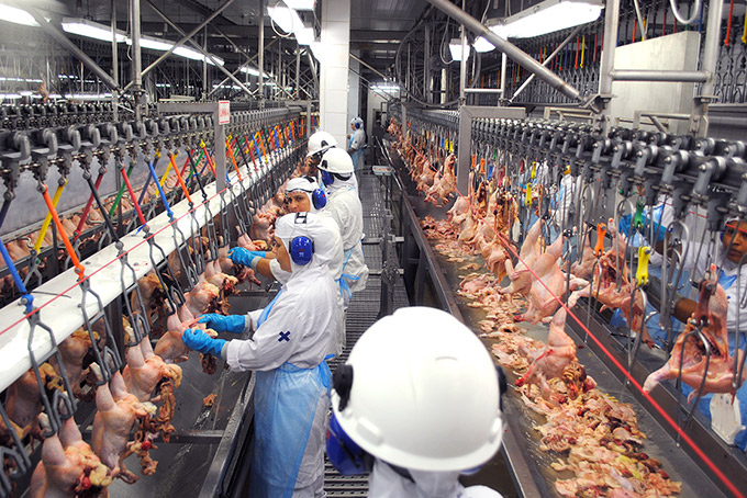 Governo federal centralizará fiscalização de frigoríficos